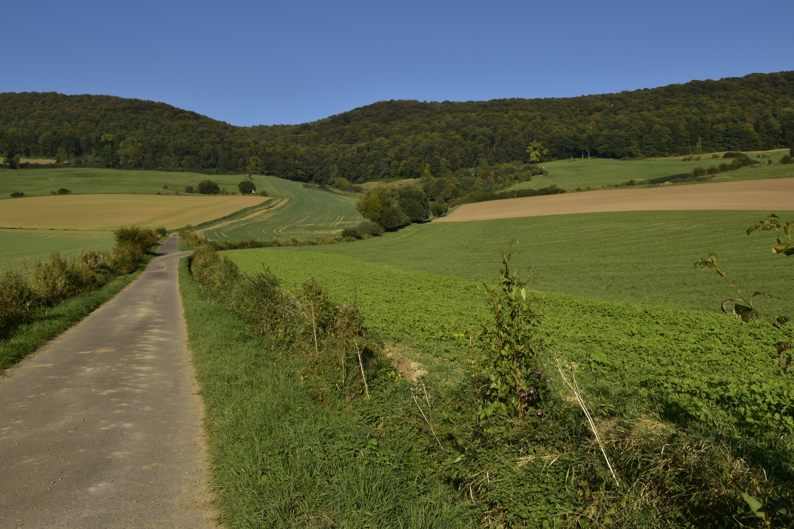 Landschaft bei Eschershausen