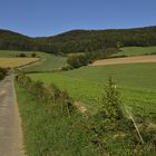 Landschaft bei Eschershausen