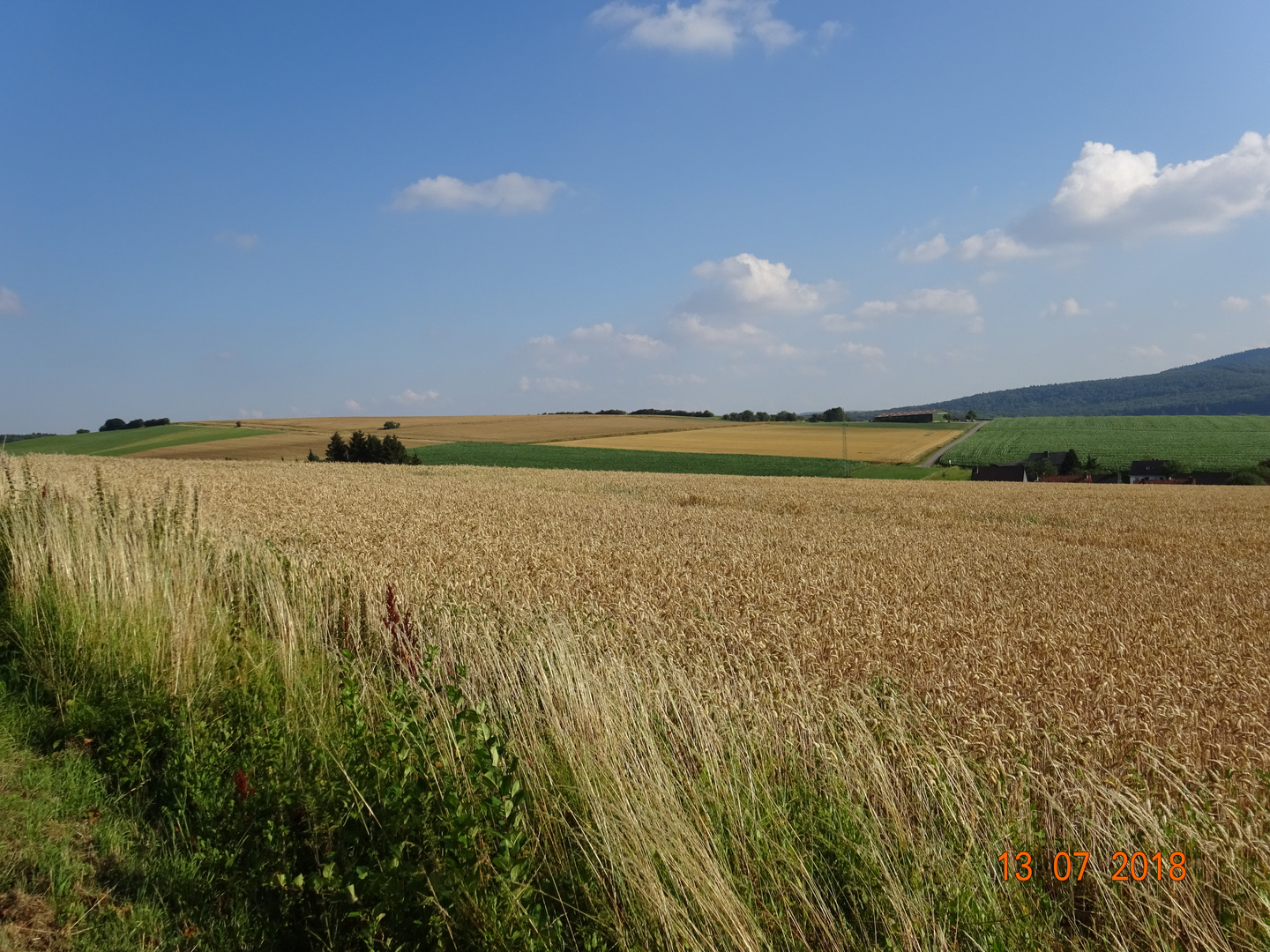 Landschaft bei Eschershausen