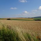 Landschaft bei Eschershausen