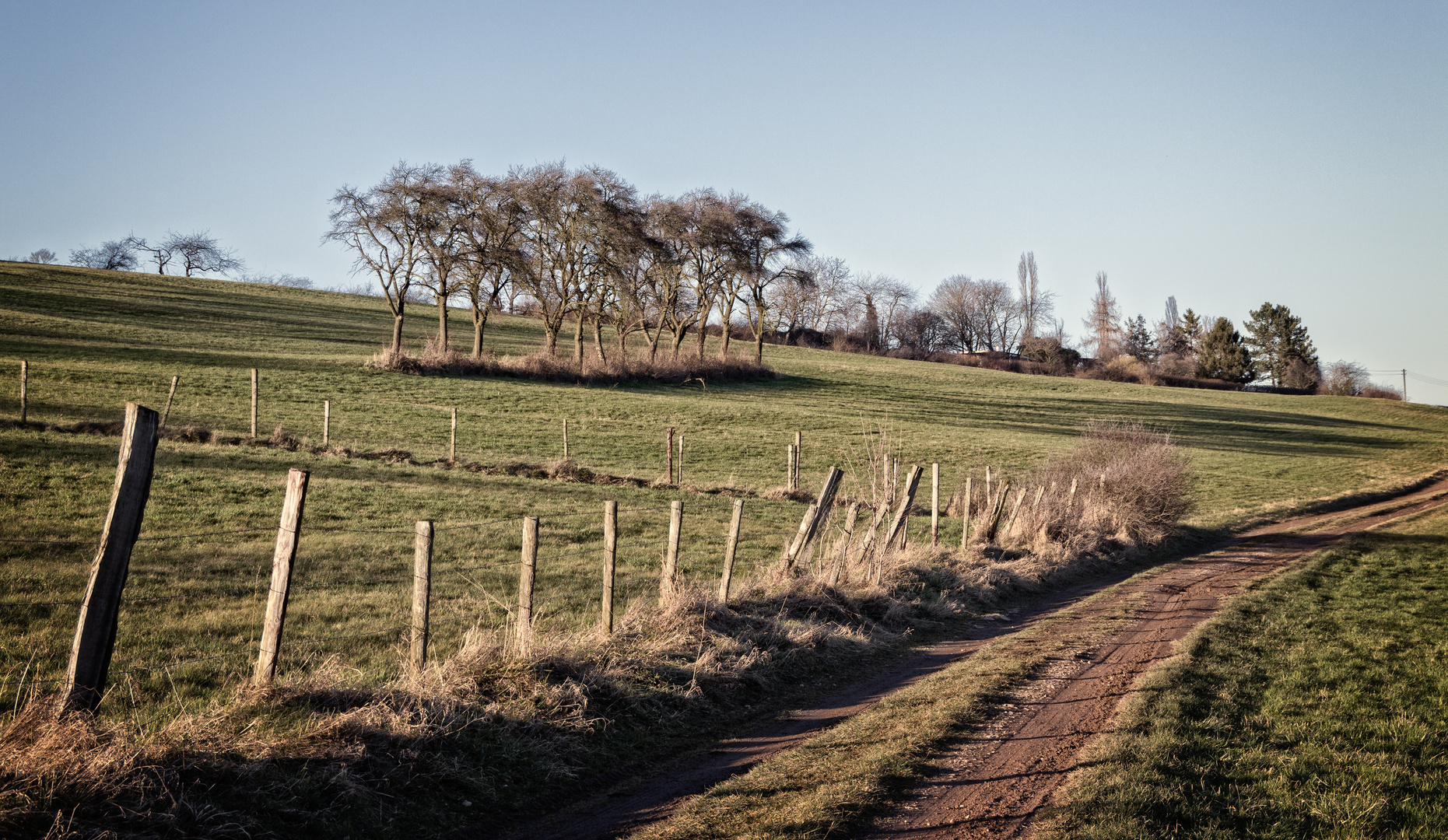 Landschaft bei Euskirchen- Kirchheim