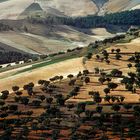 Landschaft bei Fes