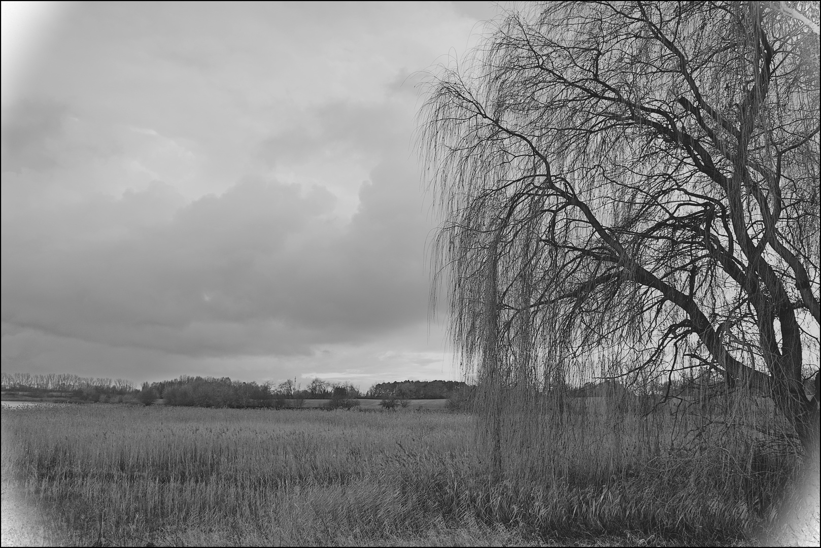 Landschaft bei Friedland