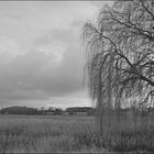 Landschaft bei Friedland