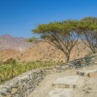 Landschaft bei Fujairah