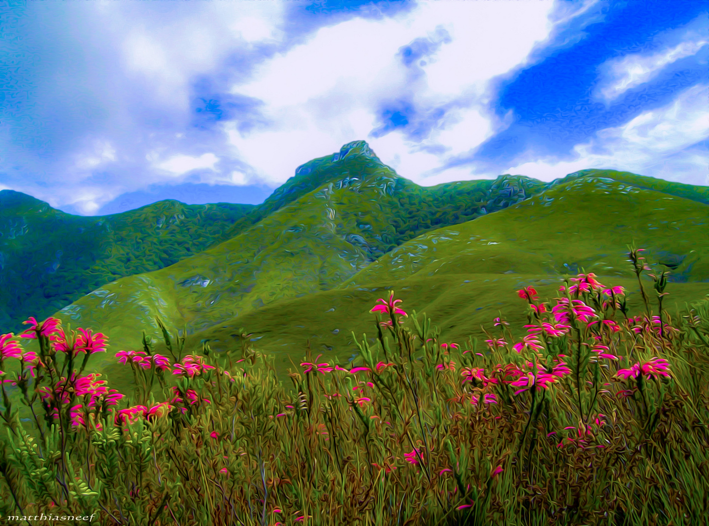 Landschaft bei George South Africa