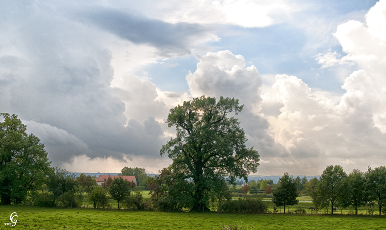 Landschaft bei Graupa