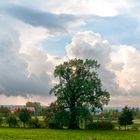 Landschaft bei Graupa