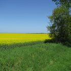 Landschaft bei Groß Walmstorf (NWM)