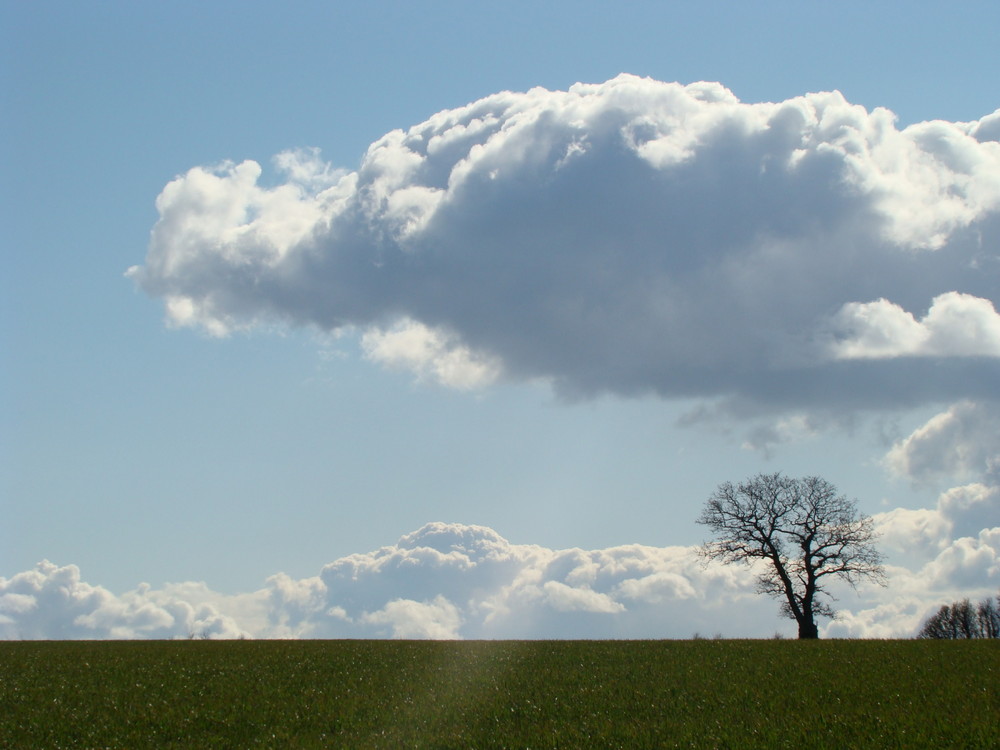 Landschaft bei Halk Hoved, Dänemark