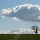 Landschaft bei Halk Hoved, Dänemark