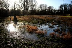 Landschaft bei Hamburg