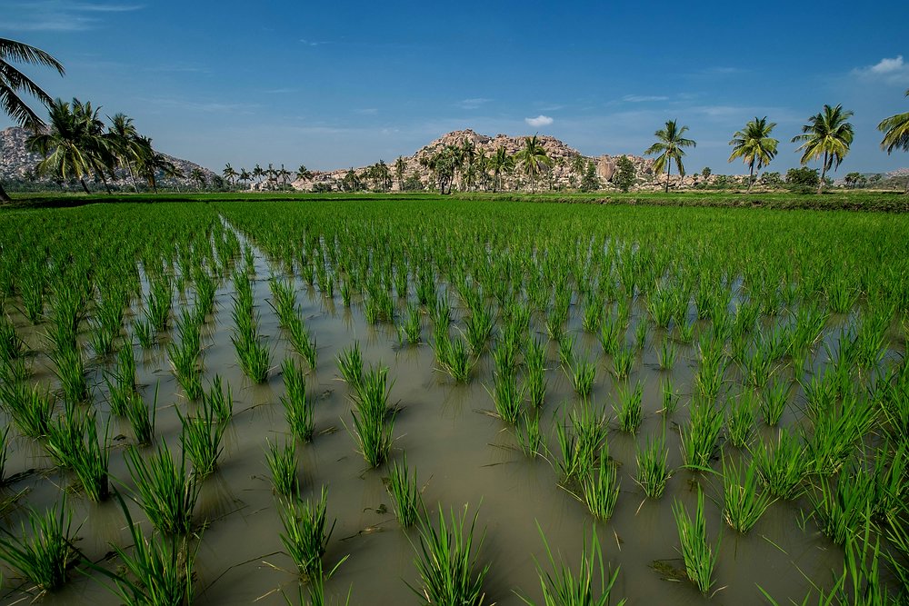 Landschaft bei Hampi