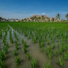 Landschaft bei Hampi