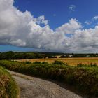 [ Landschaft bei Hayle, Cornwall ]