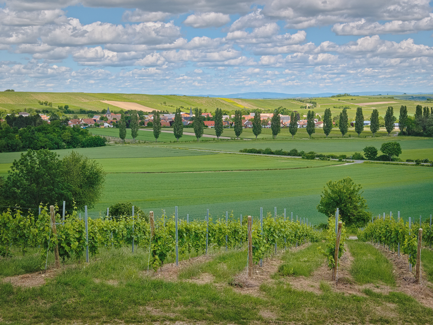 Landschaft bei Heimersheim