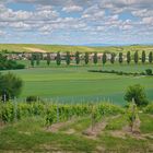 Landschaft bei Heimersheim