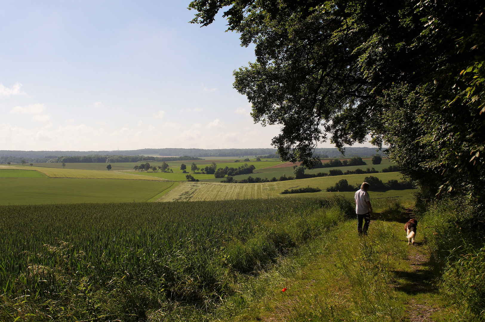 Landschaft bei Herbsthausen,...