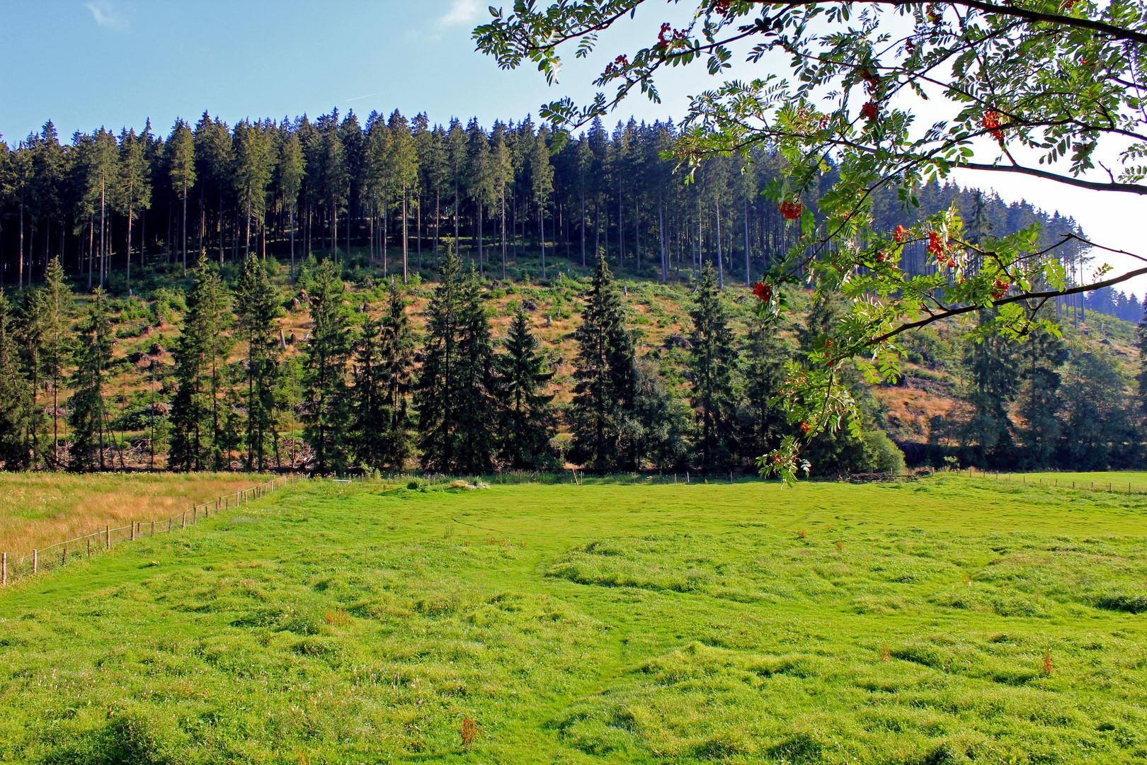 Landschaft bei Hilchenbach-Altenteich