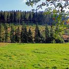 Landschaft bei Hilchenbach-Altenteich