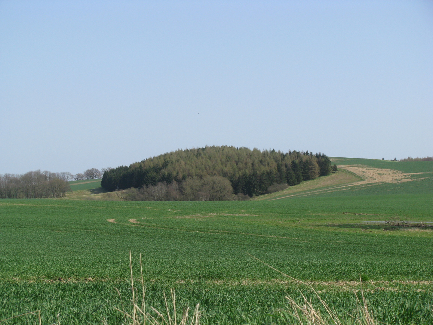 Landschaft bei Hoikendorf (NWM)