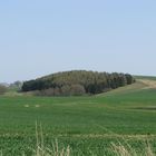 Landschaft bei Hoikendorf (NWM)