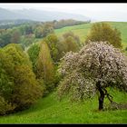 Landschaft bei Horba in Thüringen