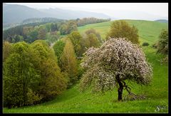 Landschaft bei Horba in Thüringen