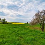 Landschaft bei Hundisburg