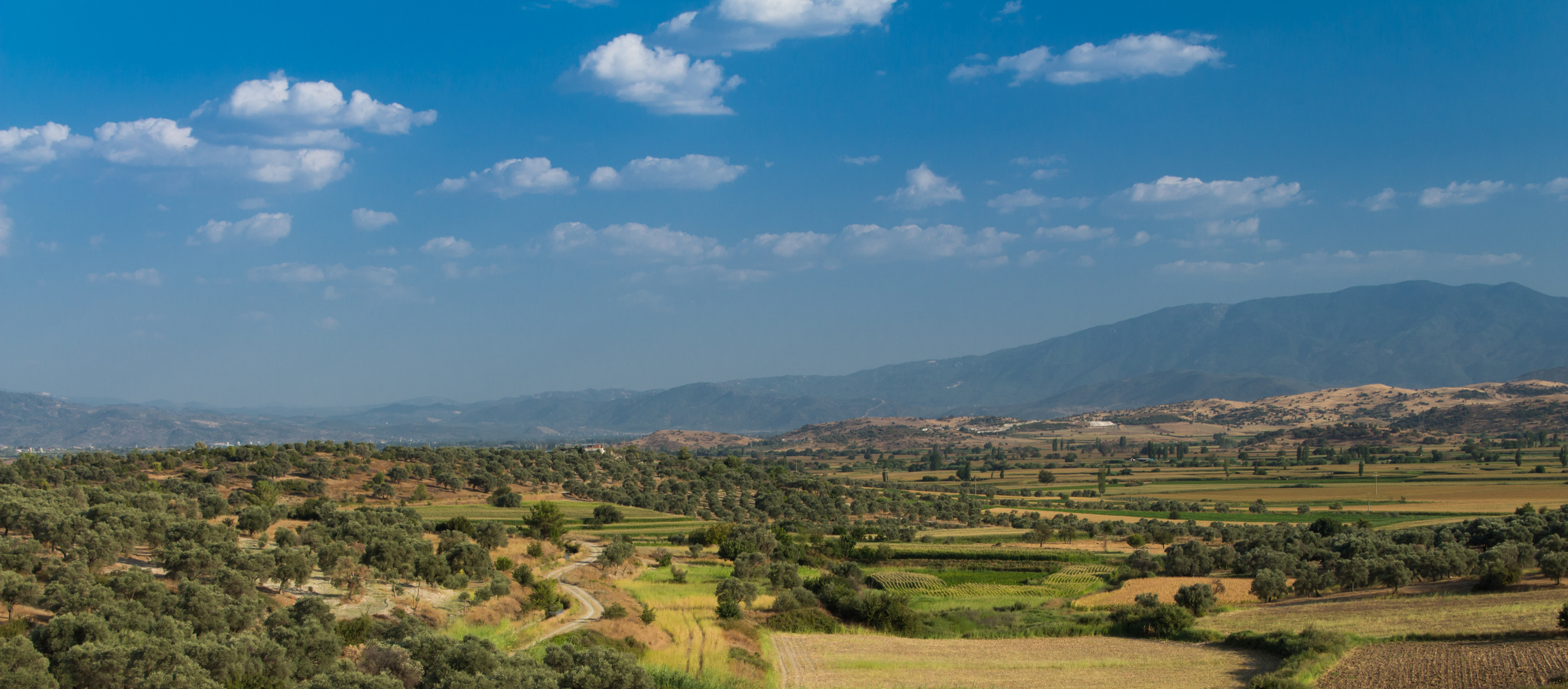 Landschaft bei Çine