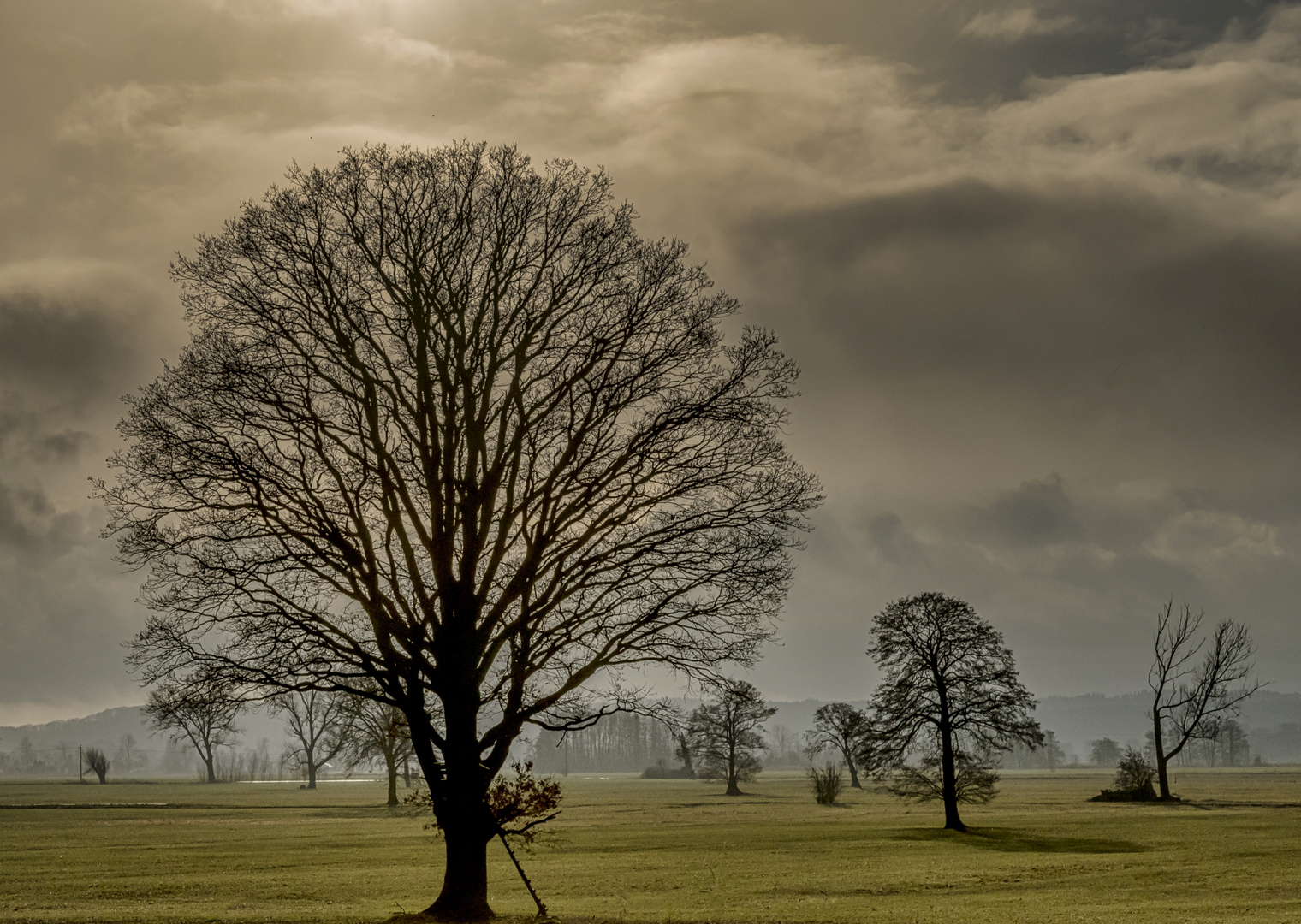 Landschaft bei Kaarßen Amt Neuhaus