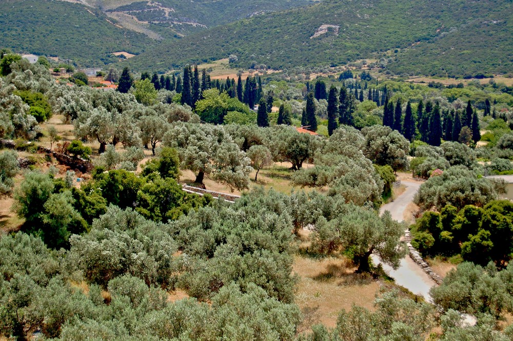 Landschaft bei Kapsala