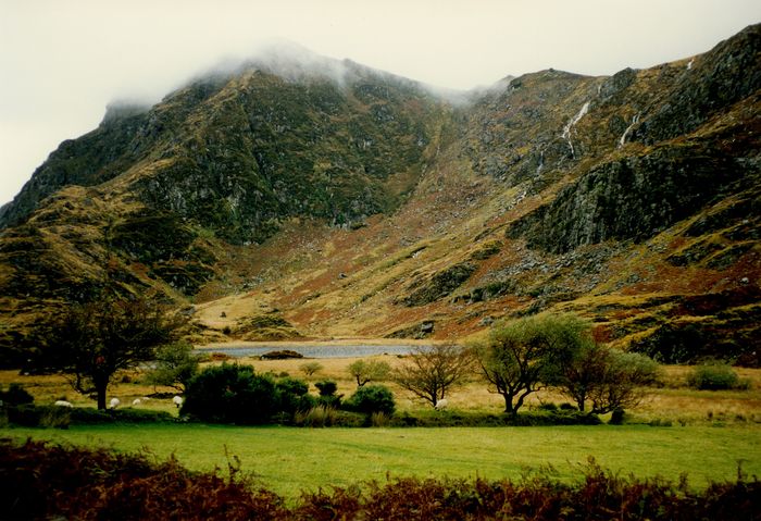 Landschaft bei Killarney