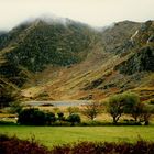 Landschaft bei Killarney