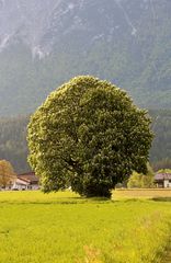 Landschaft bei Kirchbichl (Tirol)