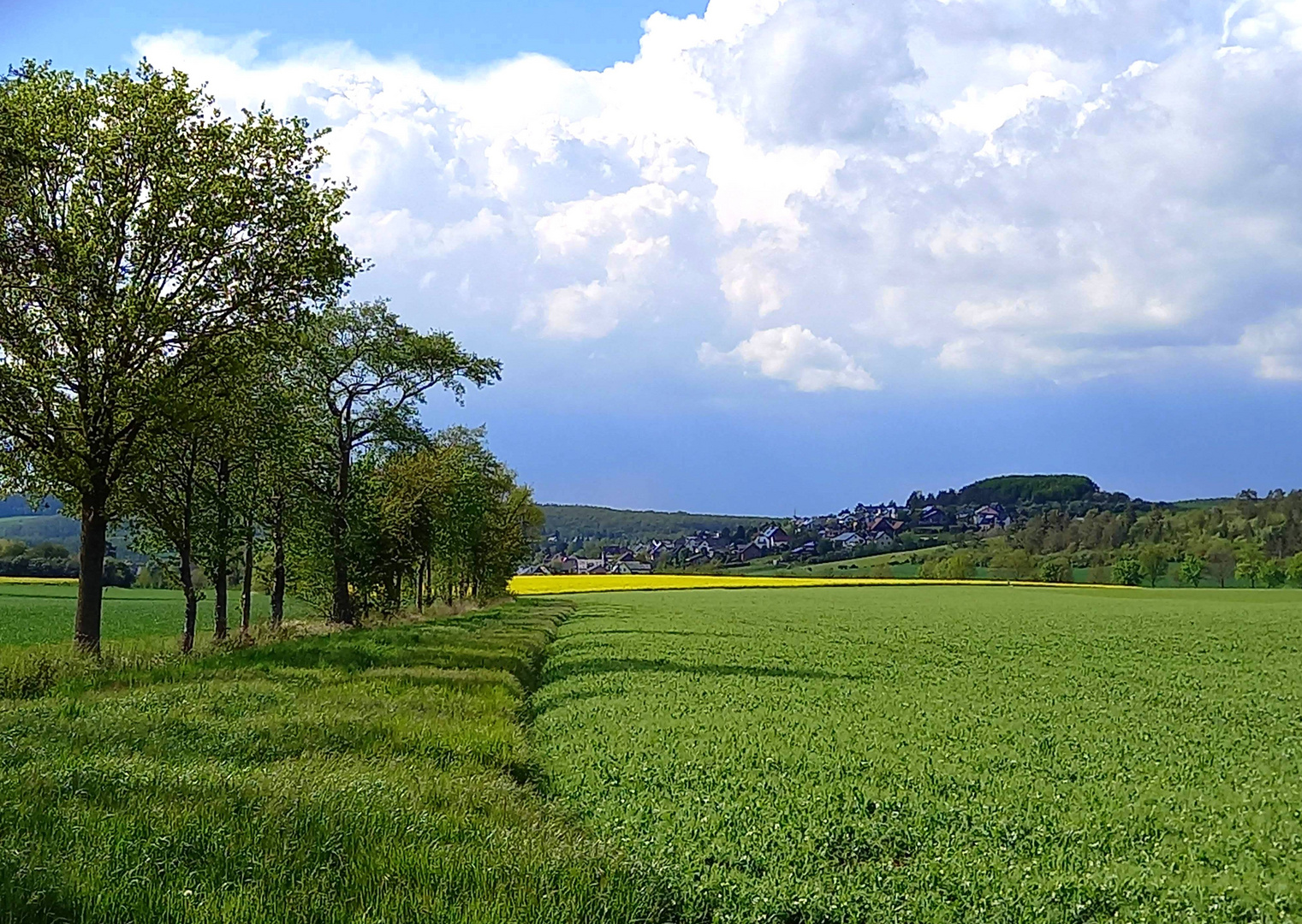 Landschaft bei Kirspenich