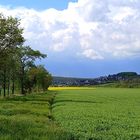 Landschaft bei Kirspenich