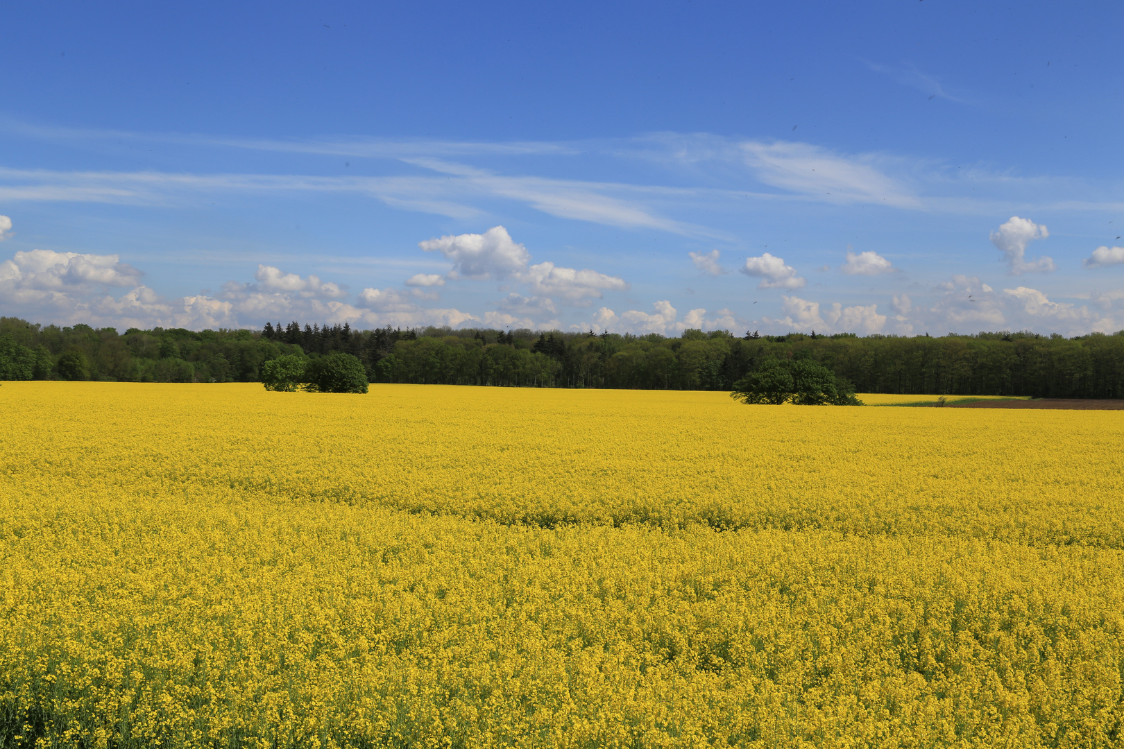 Landschaft bei Knechtsteden