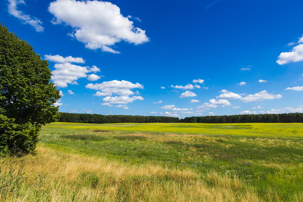 Landschaft bei Kunowice