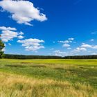 Landschaft bei Kunowice