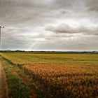 Landschaft bei Langendorf