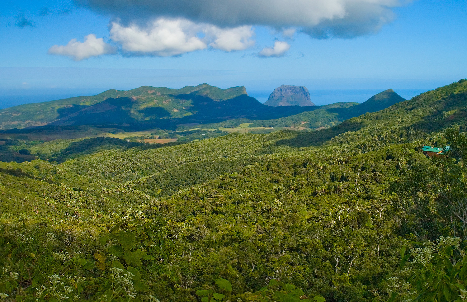 Landschaft bei Le Morne Brabant, Mauritius.