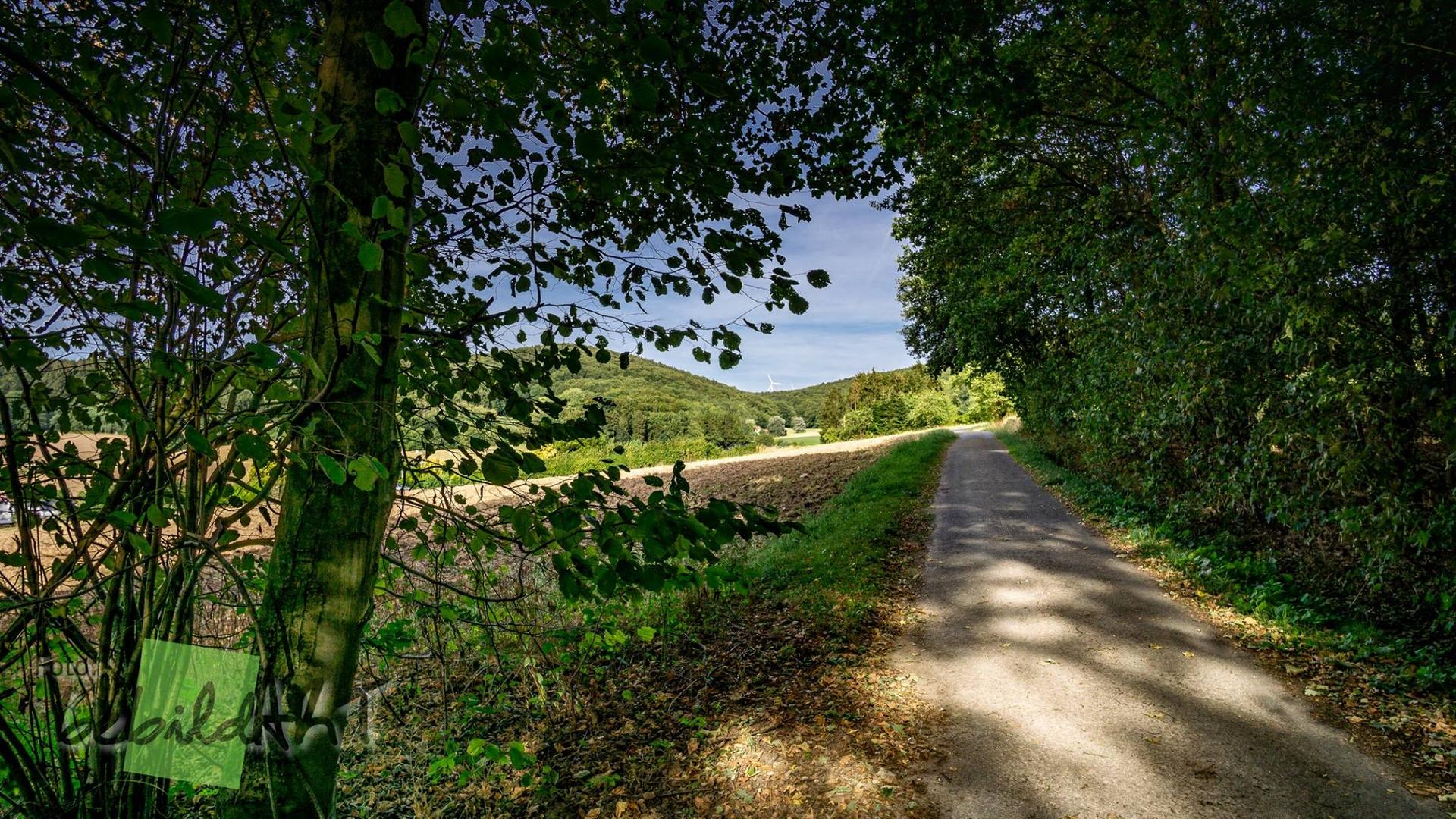 Landschaft bei Lemgo-Lüerdissen