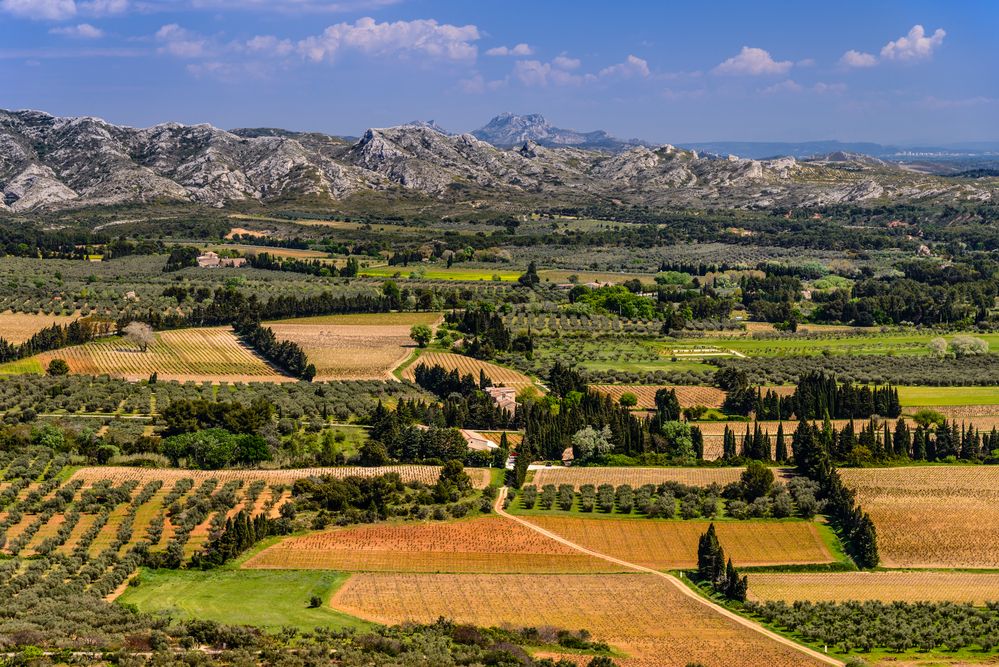 Landschaft bei Les Baux, Provence, Frankreich