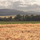 Landschaft bei Lohne / Fritzlar