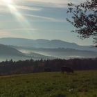 Landschaft bei Lorch im Remstal , heute morgen 9.15 Uhr