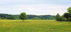 Landschaft bei Mailand (Leutkirch)