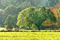 Landschaft bei Maria Laach, Eifel