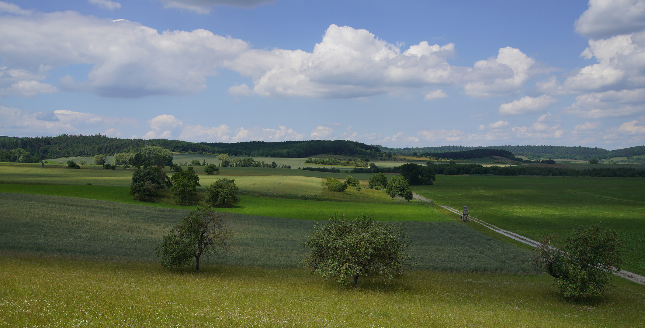 Landschaft bei Markt Nordheim