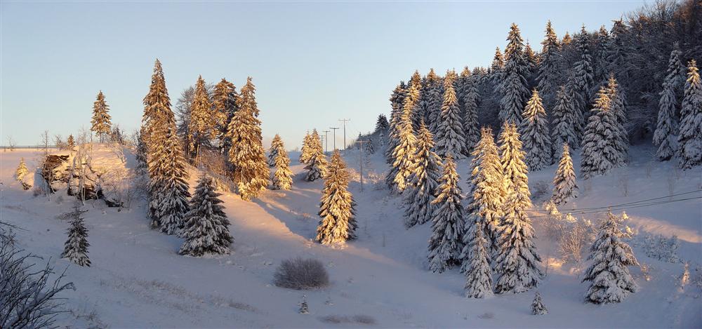 Landschaft bei Masserberg